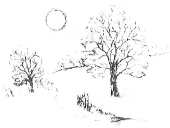 rysunek: drzewo